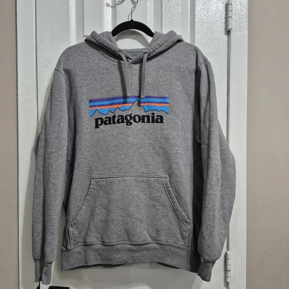 Patagonia Gray and Blue Hoodie Sz med - Picture 1 of 5